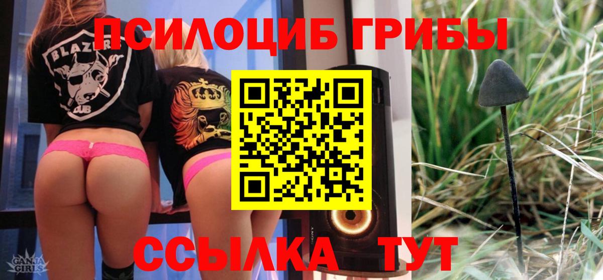 Галлюциногенные грибы MAGIC MUSHROOMS Домодедово